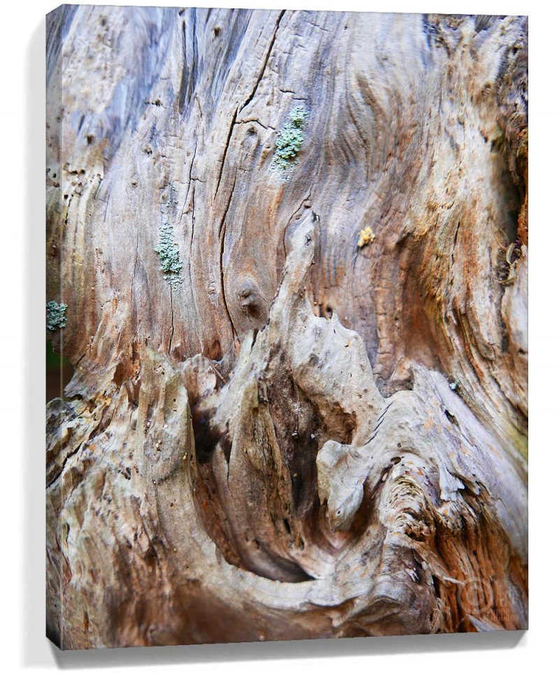 Tree Wall Art