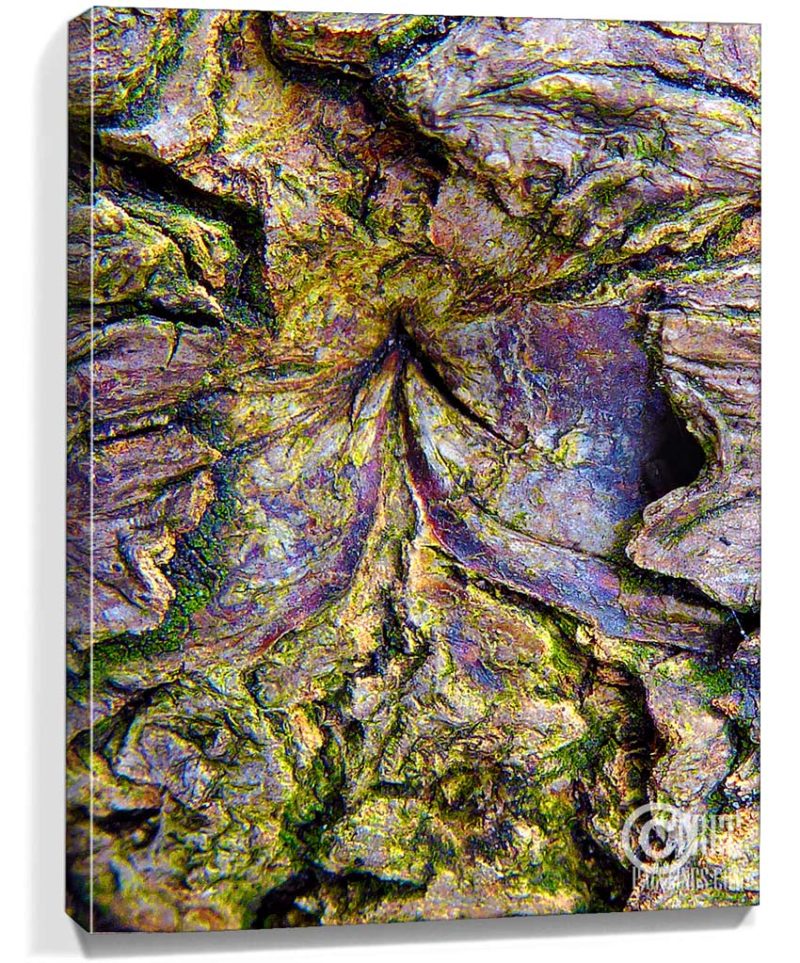 tree art for sale