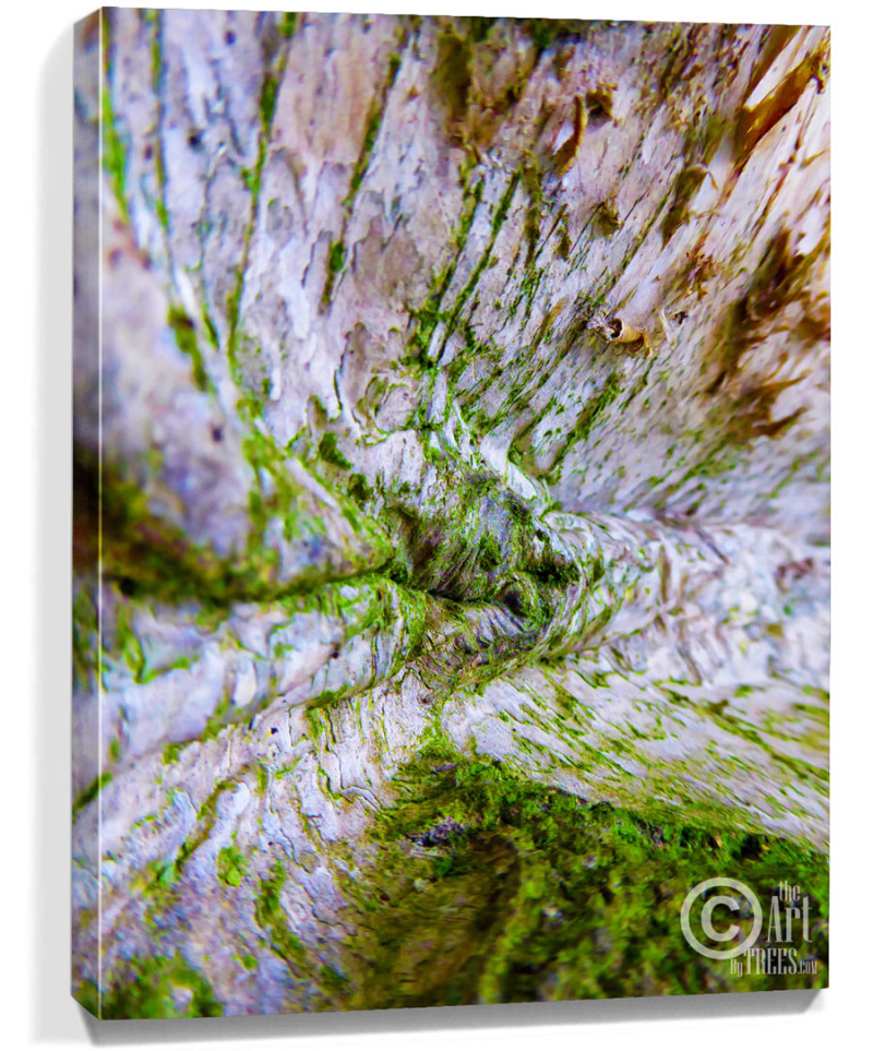 Tree art for sale