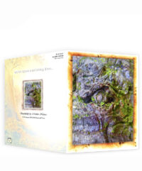 tree gifts greeting cards for sale