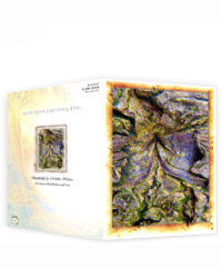 tree gift greeting cards