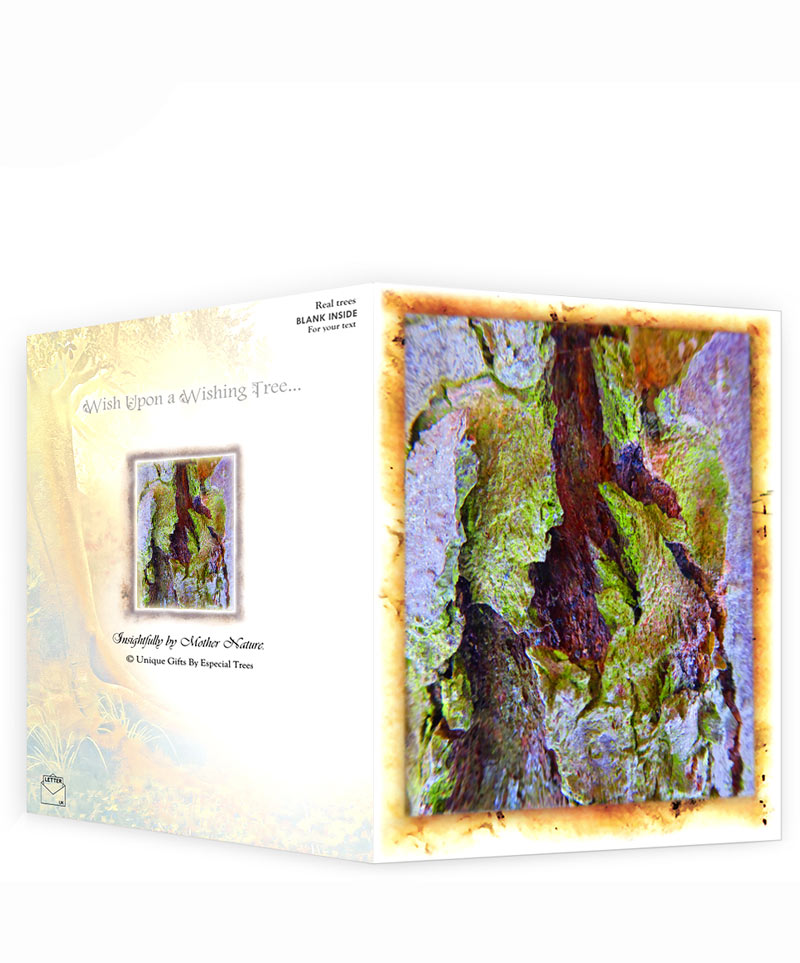 Tree Artwork Greeting Card Sku10108 The Art Of Trees