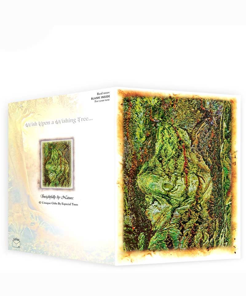 tree greeting cards for sale