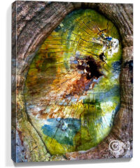 Trees artwork for sale