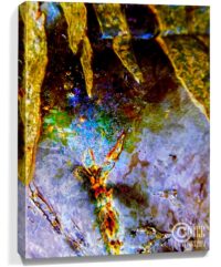 trees prints for sale on canvas