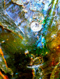 trees art paintings for sale