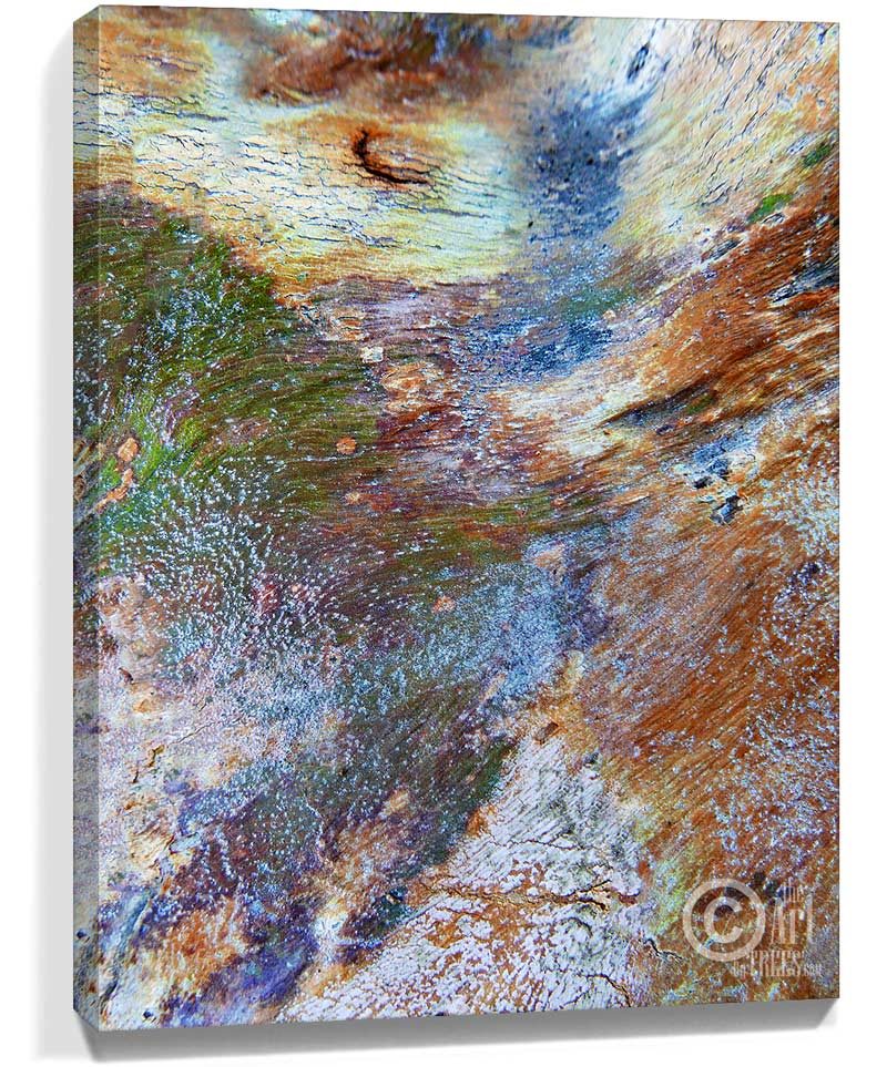 trees wall art
