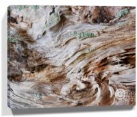 Trees wall art prints for sale