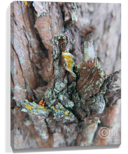 tree wall art