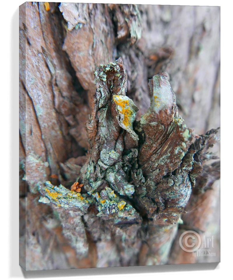 tree wall art
