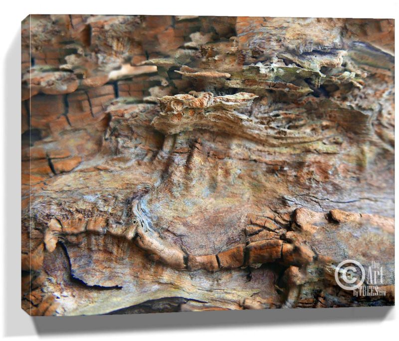 tree artworks