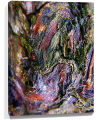 trees wall art for sale