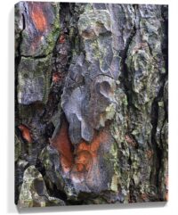 Trees Wall Art
