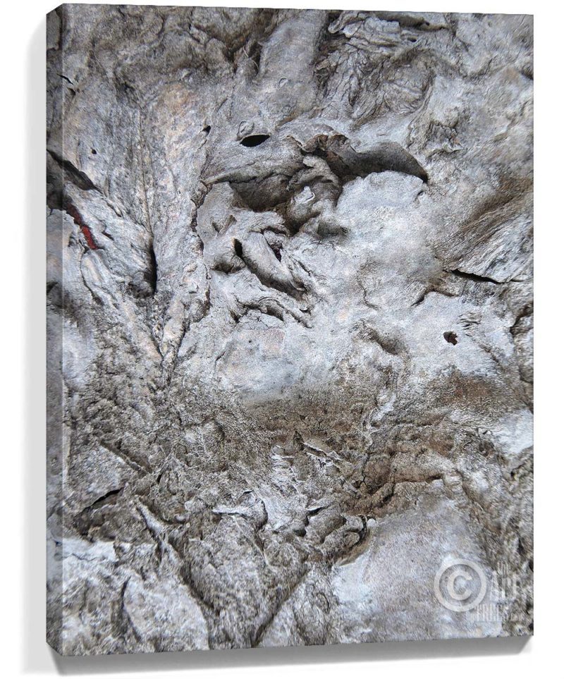 trees wall art