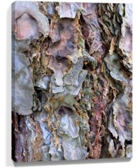 Trees Wall Art Sale